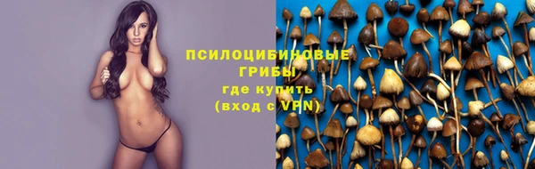 первитин Богданович