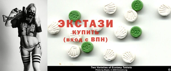 ECSTASY Богородицк