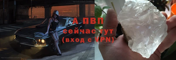 ECSTASY Богородицк