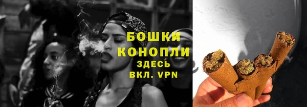 первитин Богданович