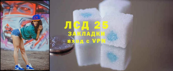 первитин Богданович