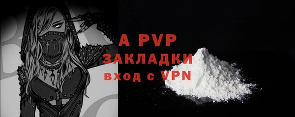 ECSTASY Богородицк