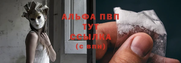 ECSTASY Богородицк