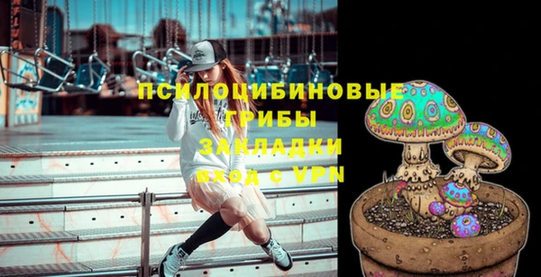 прущий лед Богородск