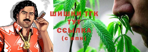 ECSTASY Богородицк