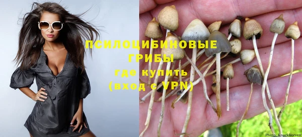 прущий лед Богородск