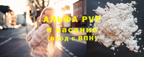 ECSTASY Богородицк